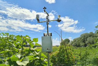 Environmental sensors