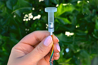 Stem water potential sensors