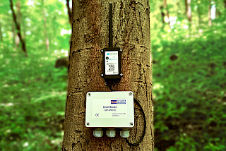 Data capture & measurement systems